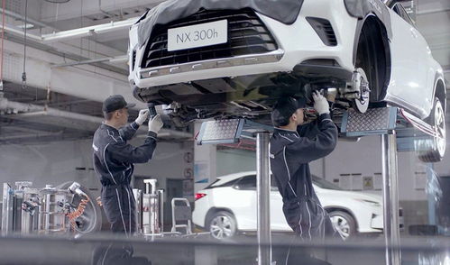 不想赚我们的钱？这个品牌火到加价，但为何不国产